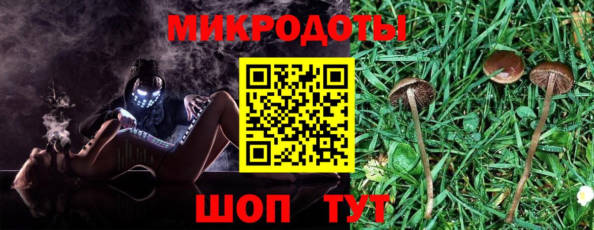 Галлюциногенные грибы прущие грибы  Вход с VPN  Баксан 
